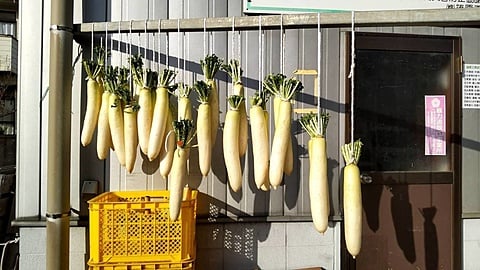 大根