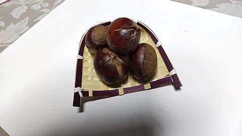 栗
