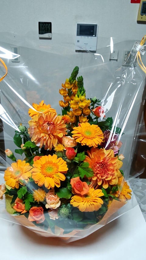 黄色い花が元気をくれます。