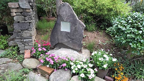 寄せ植え