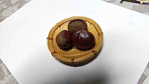 ツヤツヤな栗
